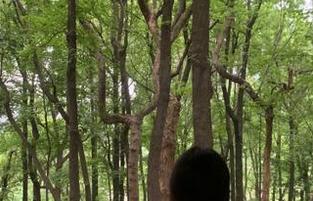 分享你没见过的尬聊合集，51cg4为你助攻！