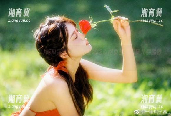 吃瓜新业态：51在线吃瓜网页里，瓜皮儿都能秒变八卦圈！