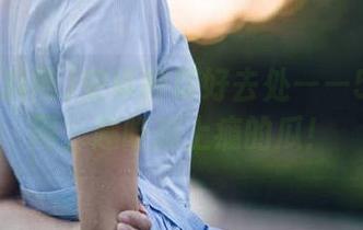 安卓种草好去处——51黑料网，越吃越上瘾的瓜！