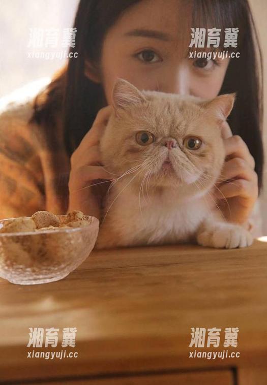 想象一下，把“52吃瓜”里的奇葩佳作都收藏在你的小本本里！