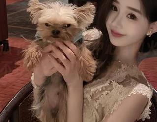 91吃瓜中心官网火得不要不要的，这瓜吃了还想撩。