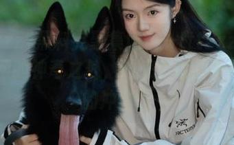 黑料党聚集地——tttzzz668.su官网的神奇之处，进来后瞬间有种熬夜的冲动。