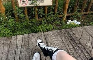 这瓜我都看了好几遍，想问“吃瓜头条”的编辑，你们是怎么选的？