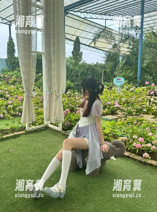 泡在“吃瓜网”里，VIP发布的八卦消息有没有让你心动？