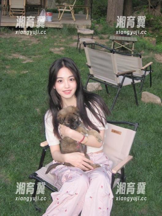 你的观看体验值得更好：吃瓜网不卡的秘密探险！