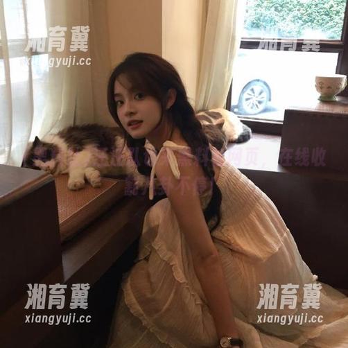 汪汪队也来黑料社网页，在线收割八卦不停！